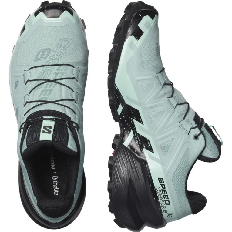 Salomon Speedcross 6 GTX Trailove Bezecke Tenisky Damske Mätové | SK 9LHVRW